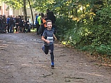 Zainhammerlauf 2017