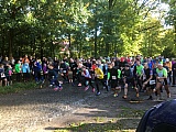 Zainhammerlauf 2017