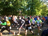 Zainhammerlauf 2017