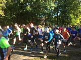 Zainhammerlauf 2017