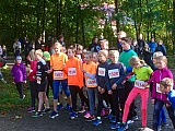 Zainhammerlauf 2017